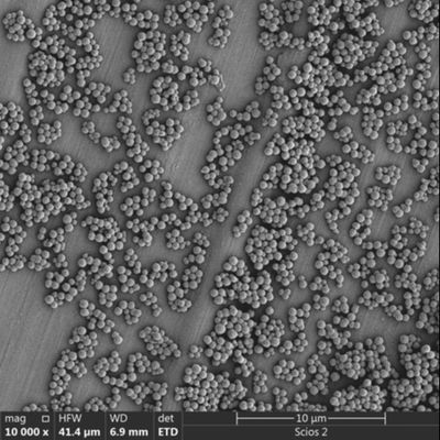 grânulos magnéticos de 2.8μm Streptavidin para a classificação da pilha da quimioluminescência