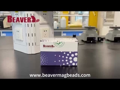 BeaverBeadsTM Mag NH2 Magnetic Beads Unboxing Video