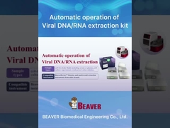 Kit de extração e purificação de ácido nucleico BeaverBeadsTM Método de extração de contas magnéticas