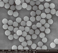 Qualidade  1μm 10 mg / mL 50 mL Carboxylated Magnetic Beads For Immunodiagnosis Fábrica