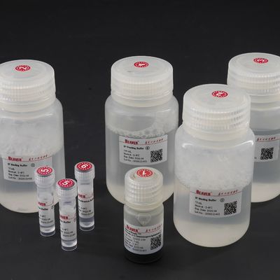Qualidade  10 mg / mL Protein A  Magnetic Beads For Immunoprecipitation 100 Reactions Fábrica