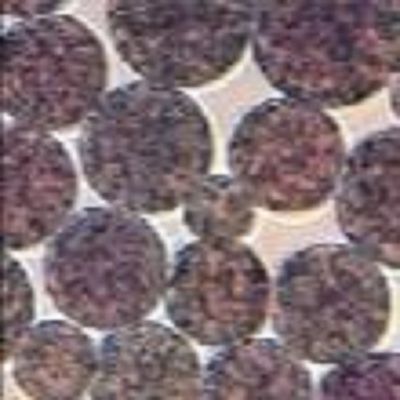 Qualidade  5 mL NHS Activated Magnetic Beads Preactivated N - Hydroxy Succinimide Nanoparticle Fábrica