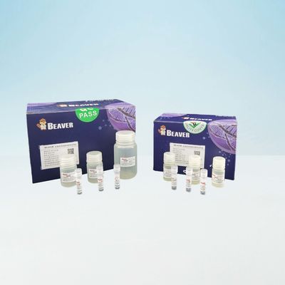 Rapidamente ADN Kit For Laboratory Use do sangue de BeaverBeads