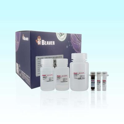 Taxa de transferência viral animal de Kit For Automated And High do RNA do ADN de 100 Rxns BeaverBeads