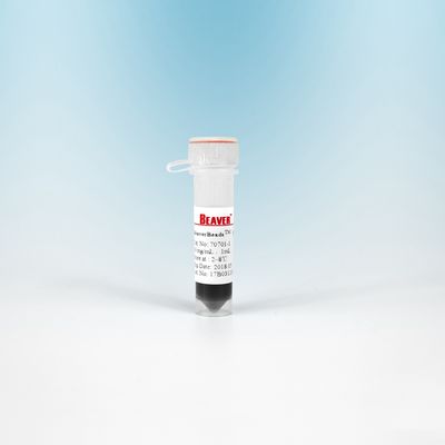 Grânulos magnéticos NHS 300 nanômetro de 10 ML BeaverBeads para o isolamento da pilha com sensibilidade mais alta
