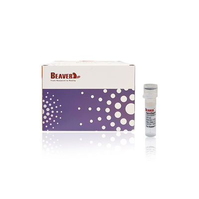 BEAVER GST Fusão de proteínas de purificação de contas GSH Magnéticas de contas Purificação de proteínas Novo material funcional Kit GSH projetado GST purificação de proteínas