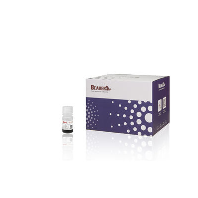 BEAVER GST Fusão de proteínas de purificação de contas GSH Magnéticas de contas Purificação de proteínas Novo material funcional Kit GSH projetado GST purificação de proteínas