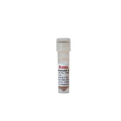 BEAVER GST Fusão de proteínas de purificação de contas GSH Magnéticas de contas Purificação de proteínas Novo material funcional Kit GSH projetado GST purificação de proteínas