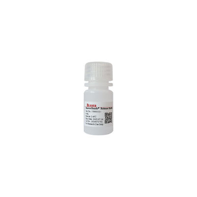 BeaverBeads® Anti-HA Magnetic Beads HA Tag Purificação de Proteína Magnetic Beads 0.5mL/1mL/5mL HA-Protein Beads
