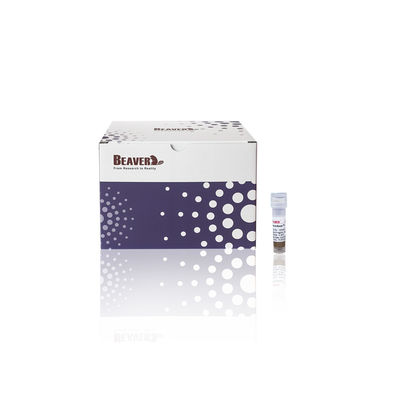 BeaverBeads® Anti-HA Magnetic Beads 1 ml HA-Protein Beads
