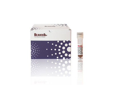 100ml BeaverBeads IDA-Co com alta produtividade e baixo custo 30-150um 10% concentração