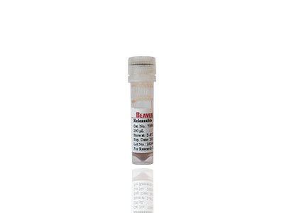 Mag OH Magnetic Beads Extração de DNA Sílica Magnetic Beads Fe3O4 1μm 10 mg / mL 50 mL