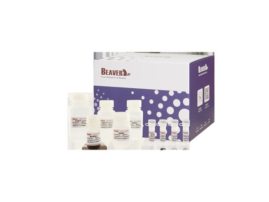 BeaverBeadsTM DNA / RNA Extração de Ácido Nucleico Sangue Perlas Magnéticas Kit de Extração do Genoma Extração de RNA Kit Genômico