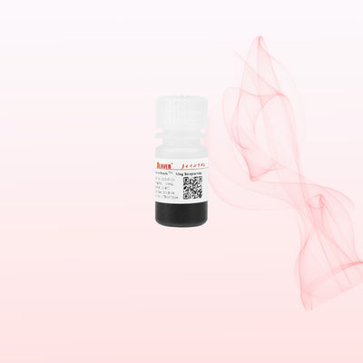 BeaverBeads 1um/2um/5um/300nm/2.8um/3um Streptavidin Magnetic Beads para Chemiluminescence e Detecção de Ácido Nucleico