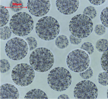 BeaverBeads 10-30μm Magros Streptavidin Magnetic Beads A solução definitiva para o enriquecimento e purificação de proteínas