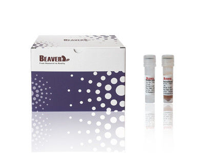 Kit de Isolamento de Células CD4 de Ratos BeaverBeads Certificado CE para Pesquisa de Laboratório