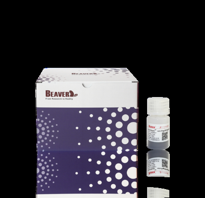 Microesferas Magnéticas Anti-HA BeaverBeads