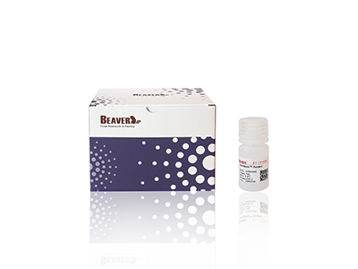 Microesferas Magnéticas de Agarose BeaverBeads Magrose NH2 Fe3O4