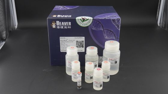 2μm 30 magnésio/mL 1 da proteína A/G mL de purificação Kit For Protein Purification do anticorpo