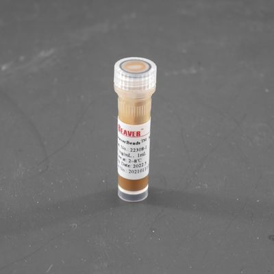 grânulos magnéticos de 300nm Streptavidin para a pilha que classifica o magnésio/mL da captação 10 da ponta de prova 1 mL