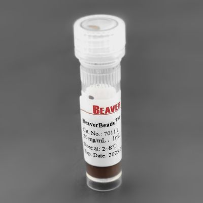 magnésio 300nm 50/mL grânulos magnéticos de 1 silicone do mL para o PC da extração da proteína