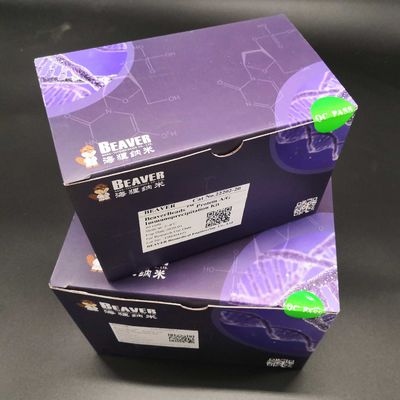 30-150 μm Agarose Strep-tag II Kit de purificação de proteínas Magbeads 10% Relação de volume