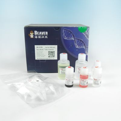 30-150 μm sua porcentagem do volume do jogo 10% de Magbeads do IDA-níquel da purificação da proteína da etiqueta
