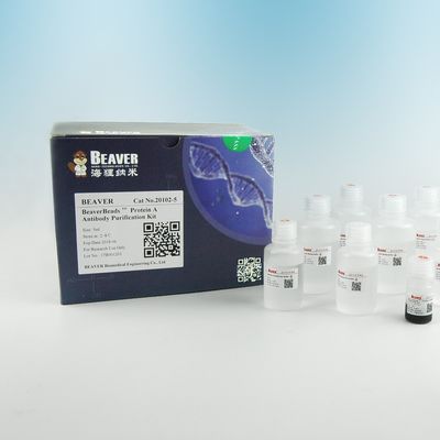 Purificação magnética 2μm da proteína dos grânulos do anticorpo da proteína A 30 magnésio/mL 5 mL