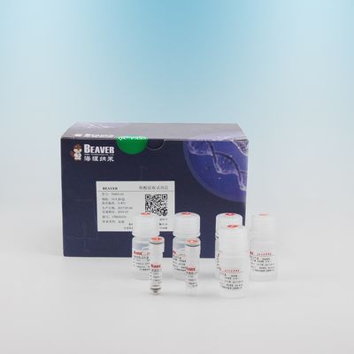 Extração do ADN do ADN Kit For Blood do sangue de 100 reações para a operação automática