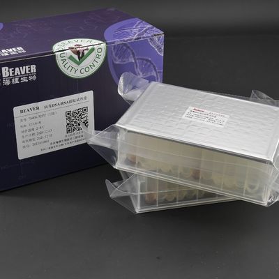 32 a extração viral de Kit For Viral Nucleic Acid do RNA do ADN da parte inferior das reações V preencheu placas