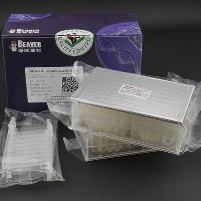 O RNA viral Kit Nucleic Acid Extraction Kits do ADN preencheu a parte inferior das reações U das placas 32