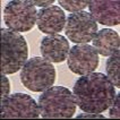 1 mL de Agarose NHS Magbeads Preactivated N - Nanoparticle hidroxi de Succinimide