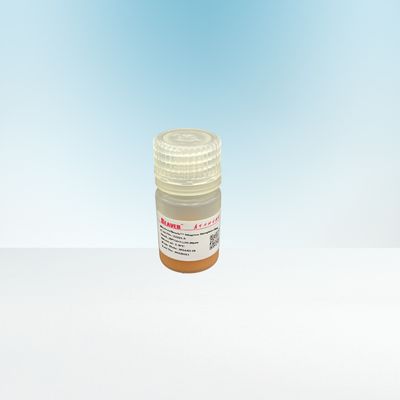 10-30μm Agrose Streptavidin magnético perla 20% para Biotinylated IgG 5 mL